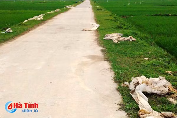o nhiem trang tren dong ruong ha tinh