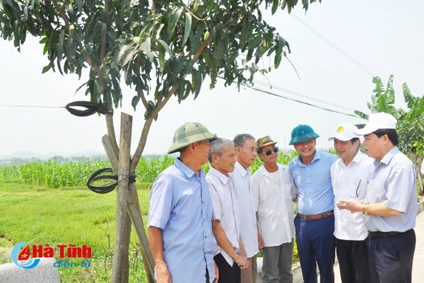 dai bieu ca nuoc an tuong voi nhung kdc kieu mau vuon mau ha tinh