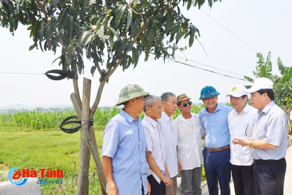 dai bieu ca nuoc an tuong voi nhung kdc kieu mau vuon mau ha tinh