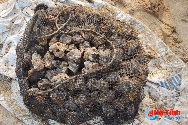 tach vo son nghe thoi vu thu nhap chinh