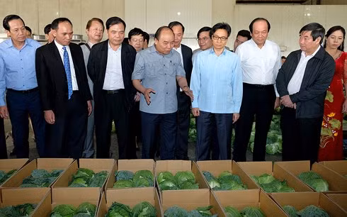 Thủ tướng Nguyễn Xuân Phúc đối thoại với nông dân ảnh 2 thu tuong nguyen xuan phuc doi thoai voi nong dan