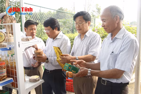 video ve dep ntm ha tinh niu buoc doan dai su quan