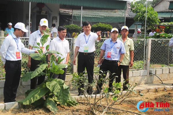 dai bieu ca nuoc an tuong voi nhung kdc kieu mau vuon mau ha tinh