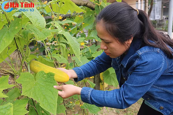 nong nghiep ha tinh thieu lien ket han che ung dung cong nghe vao san xuat