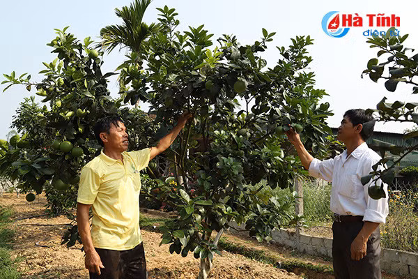 Khu dân cư kiểu mẫu, vườn mẫu (Bài 3:) Đến Hà Tĩnh, xem những “kỹ sư chân đất” làm vườn mẫu