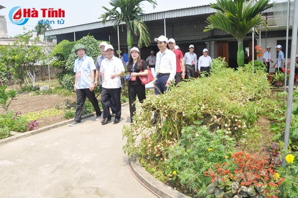 dai bieu ca nuoc an tuong voi nhung kdc kieu mau vuon mau ha tinh