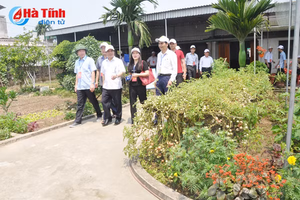 dai bieu ca nuoc an tuong voi nhung kdc kieu mau vuon mau ha tinh