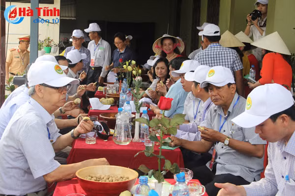 homestay phong giang ha tinh hay qua