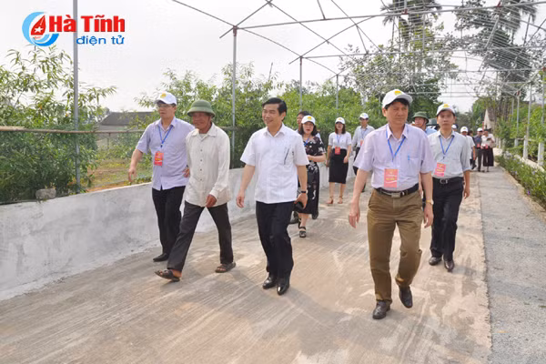 dai bieu ca nuoc an tuong voi nhung kdc kieu mau vuon mau ha tinh