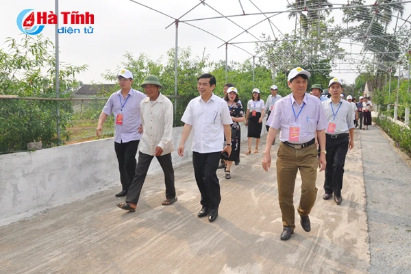 dai bieu ca nuoc an tuong voi nhung kdc kieu mau vuon mau ha tinh