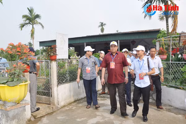 dai bieu ca nuoc an tuong voi nhung kdc kieu mau vuon mau ha tinh