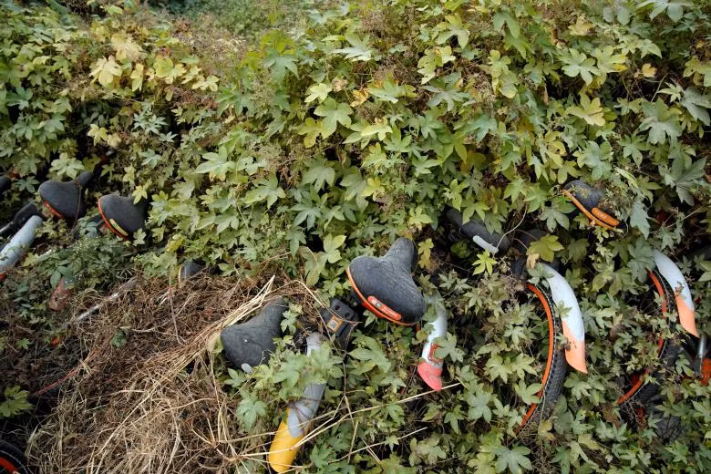 nhung nghia dia xe dap cho thue o trung quoc