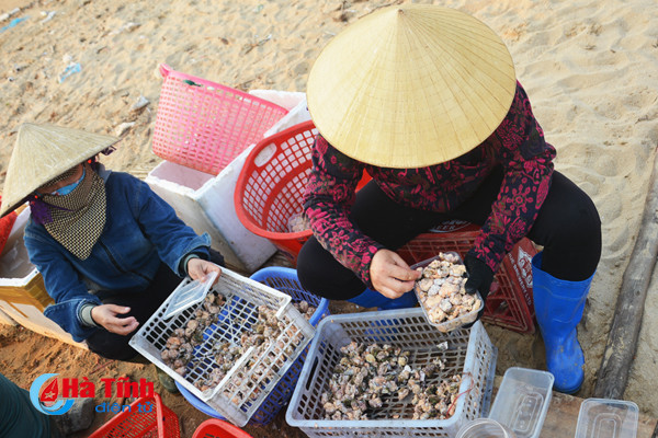 tach vo son nghe thoi vu thu nhap chinh