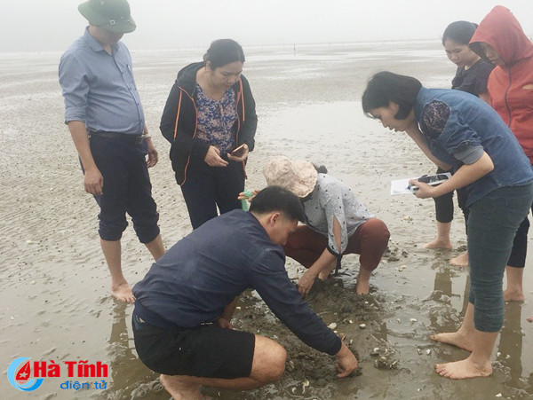 ha tinh co hon 120 ha dien tich ngao bi chet