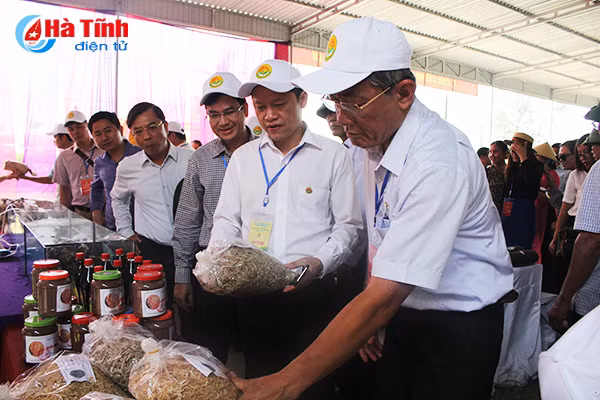 dai bieu ca nuoc an tuong voi nhung kdc kieu mau vuon mau ha tinh