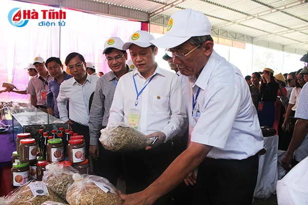 dai bieu ca nuoc an tuong voi nhung kdc kieu mau vuon mau ha tinh