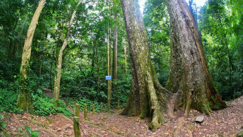 30 diem den dep nhat viet nam theo binh chon cua cnn