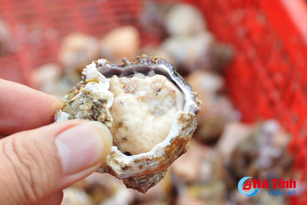 tach vo son nghe thoi vu thu nhap chinh