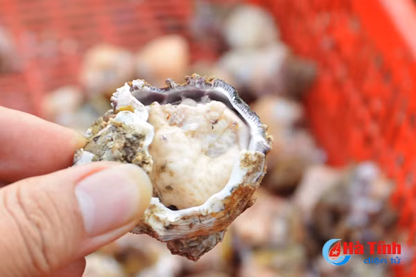 tach vo son nghe thoi vu thu nhap chinh