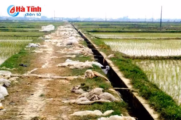 o nhiem trang tren dong ruong ha tinh