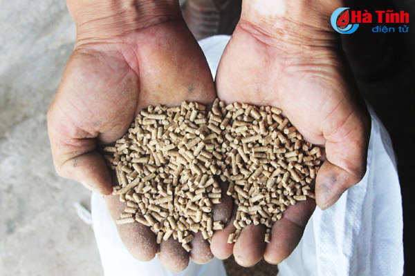 gia thuc an tang cao nguoi chan nuoi khong man ma tai dan