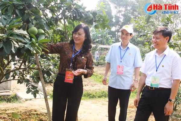 dai bieu ca nuoc an tuong voi nhung kdc kieu mau vuon mau ha tinh