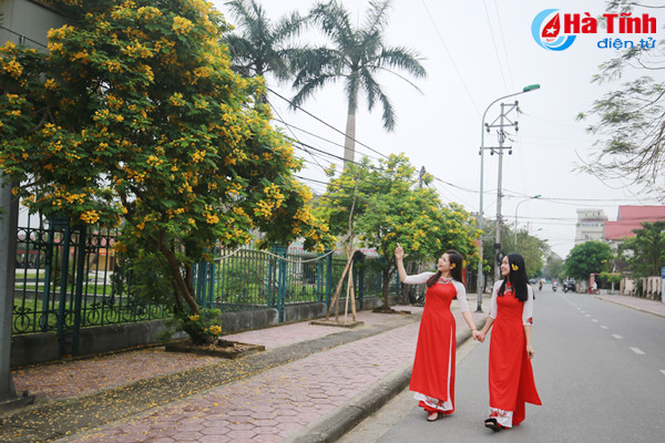 ruc sac hoa diep vang giua long tp ha tinh