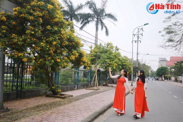 ruc sac hoa diep vang giua long tp ha tinh