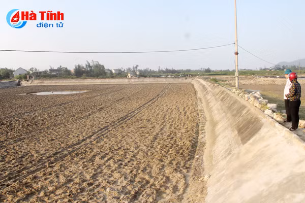 ron rang dam tom dau vu