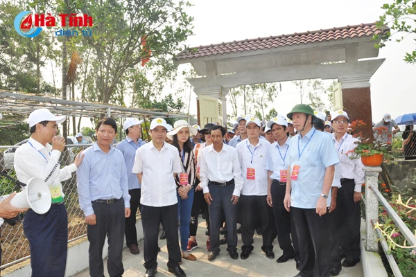 dai bieu ca nuoc an tuong voi nhung kdc kieu mau vuon mau ha tinh