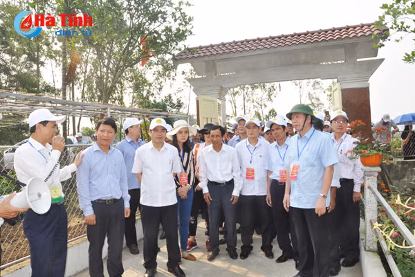 dai bieu ca nuoc an tuong voi nhung kdc kieu mau vuon mau ha tinh