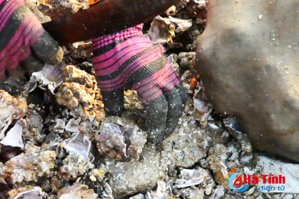 tach vo son nghe thoi vu thu nhap chinh