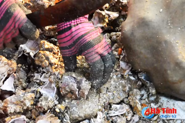 tach vo son nghe thoi vu thu nhap chinh