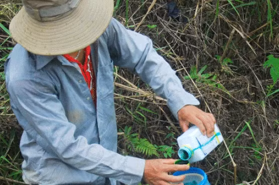 moi ngay viet nam chi 2 15 trieu usd nhap thuoc tru sau