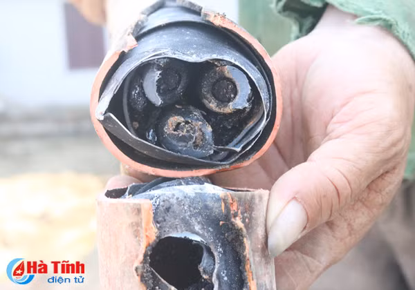 dao ho trong cay gay mat dien dien rong