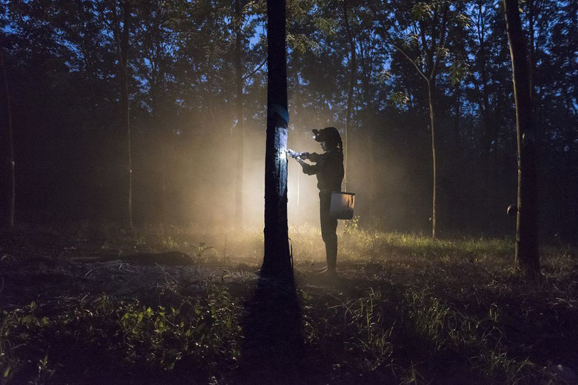 Nhiều ảnh Việt Nam vào top ảnh đẹp của NatGeo ảnh 2 nhieu anh viet nam vao top anh dep cua natgeo