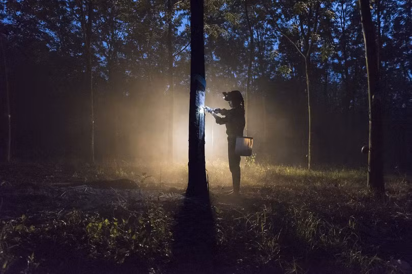 nhieu anh viet nam vao top anh dep cua natgeo