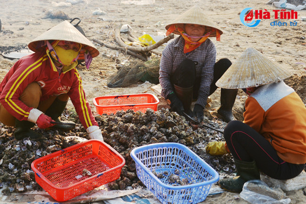 tach vo son nghe thoi vu thu nhap chinh