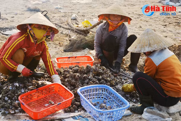 tach vo son nghe thoi vu thu nhap chinh