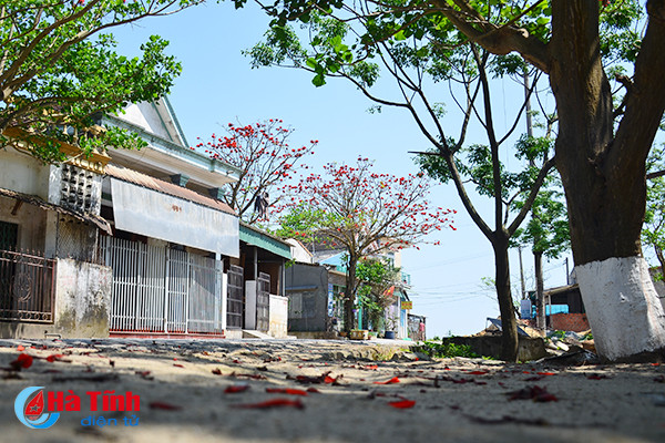 hoa vong nem thap lua dau he o ha tinh