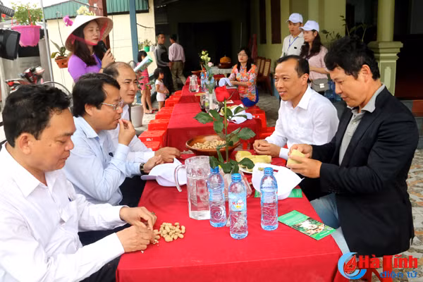 homestay phong giang ha tinh hay qua