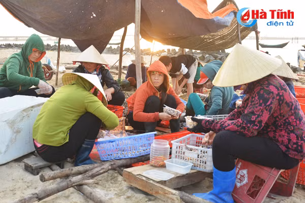 tach vo son nghe thoi vu thu nhap chinh