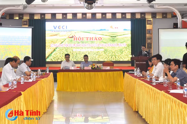 nong nghiep ha tinh thieu lien ket han che ung dung cong nghe vao san xuat