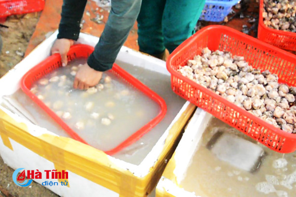 tach vo son nghe thoi vu thu nhap chinh