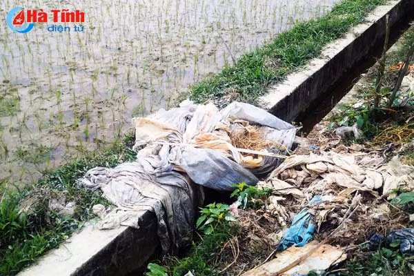 o nhiem trang tren dong ruong ha tinh