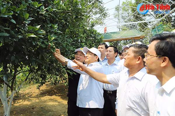 dai bieu ca nuoc an tuong voi nhung kdc kieu mau vuon mau ha tinh