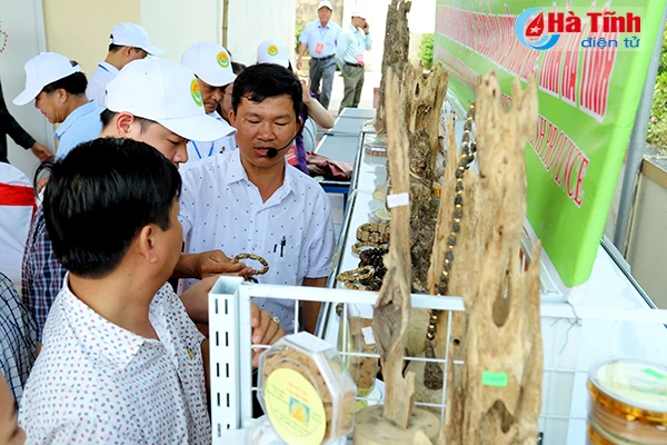 dai bieu ca nuoc an tuong voi nhung kdc kieu mau vuon mau ha tinh