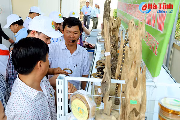 dai bieu ca nuoc an tuong voi nhung kdc kieu mau vuon mau ha tinh