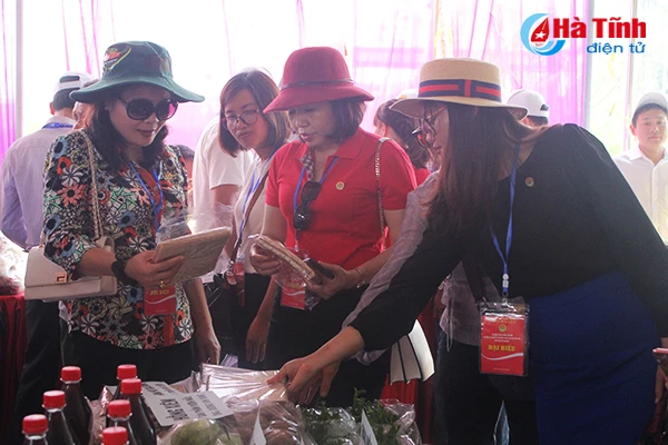 dai bieu ca nuoc an tuong voi nhung kdc kieu mau vuon mau ha tinh