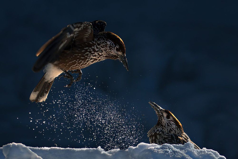 Nhiều ảnh Việt Nam vào top ảnh đẹp của NatGeo ảnh 7 nhieu anh viet nam vao top anh dep cua natgeo